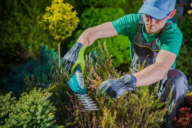 landscaping services Benham